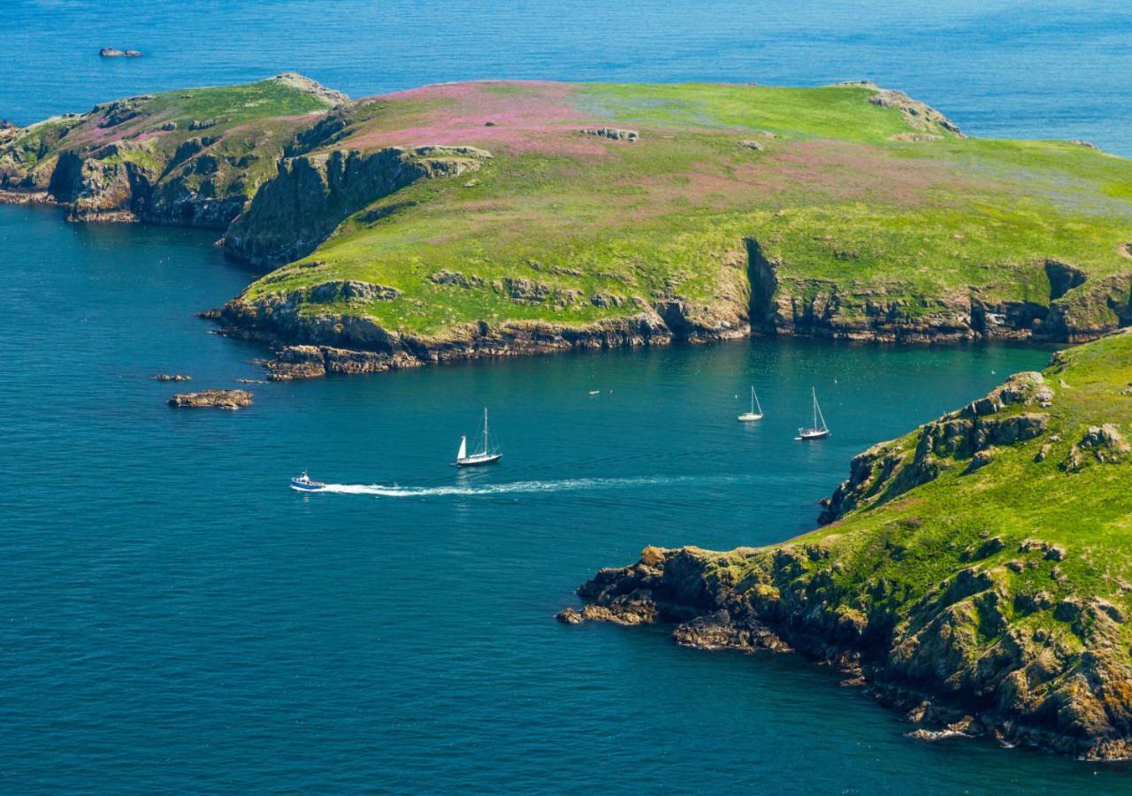 Вілла Bwthyn Clyd - St Davids Екстер'єр фото